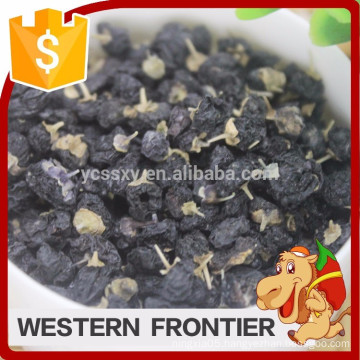 China Ningxia new harvest with best price organic Black goji berry